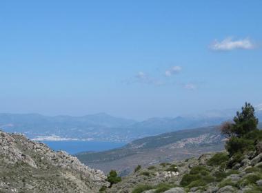 Okolí obce Elia na ostrově Kréta